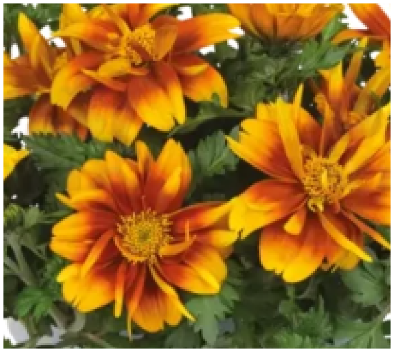 Снимок экрана 2025-10-18 1932268